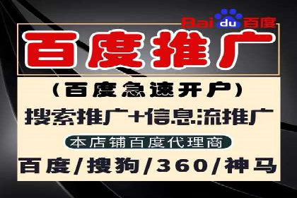 某某SEM公司助力企业快速发展的成功故事